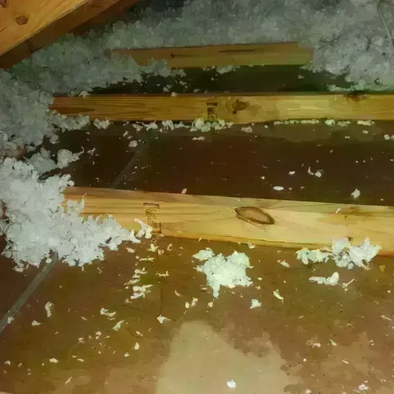 Attic Water Damage in Windsor County, VT